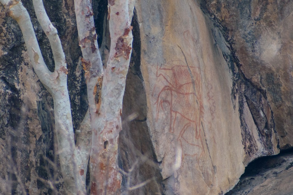Rock paintings