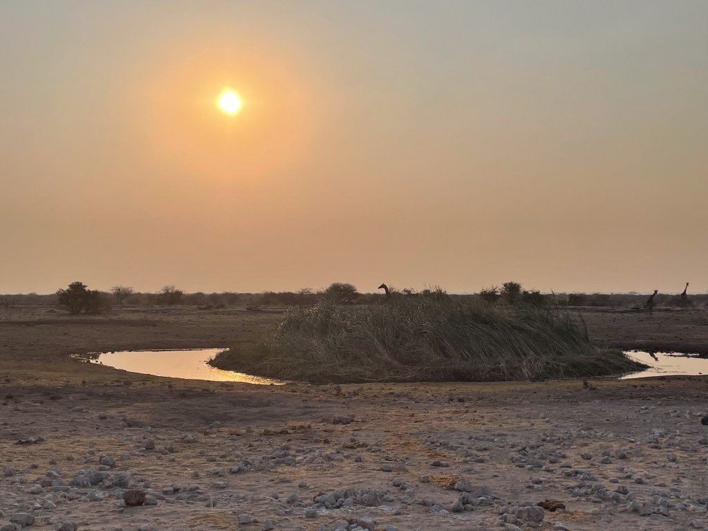 Koinachas near sunset