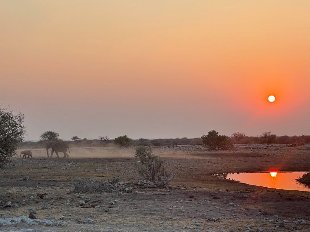 Sunset at Koinachas waterhole, Etosha