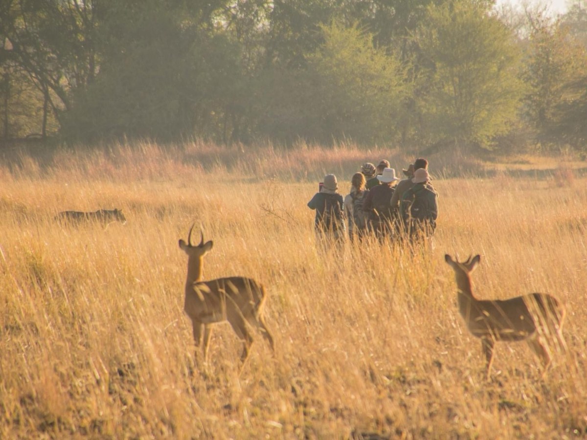 Kafue National Park – Safari Part&nbsp;2