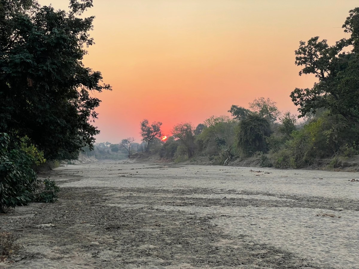 Camping Among Lions: Chitake Springs&nbsp;Experience